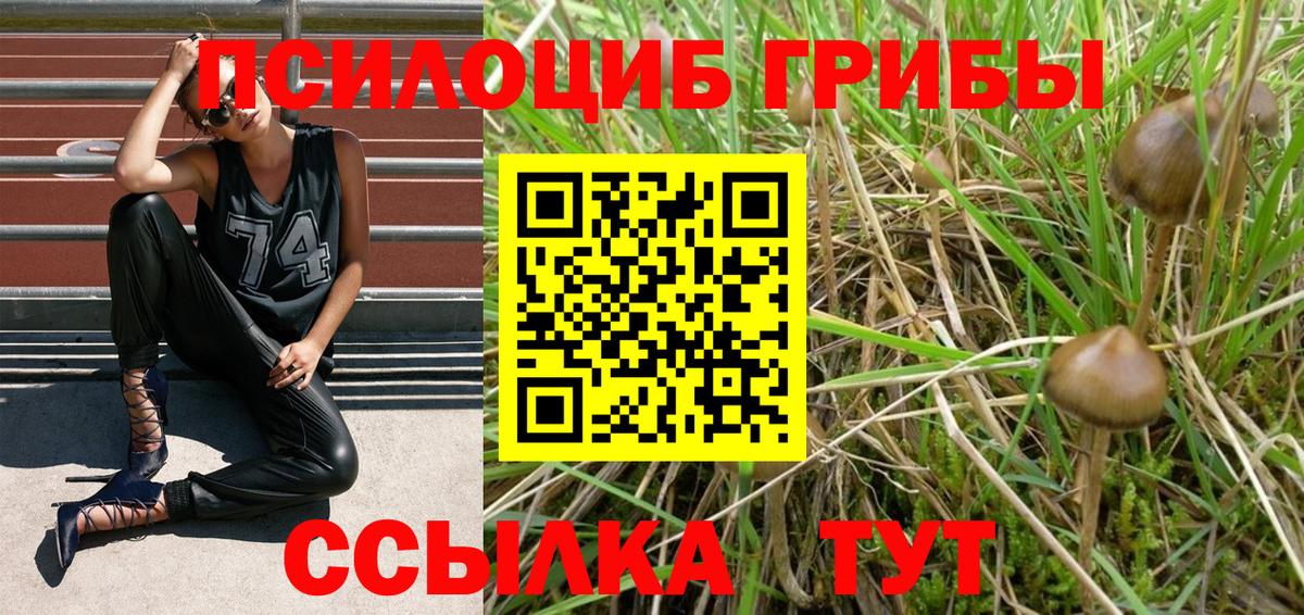 Псилоцибиновые грибы прущие грибы  Вход с VPN  где купить   Каменск-Уральский 